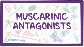 Video poster for Muscarinic antagonists