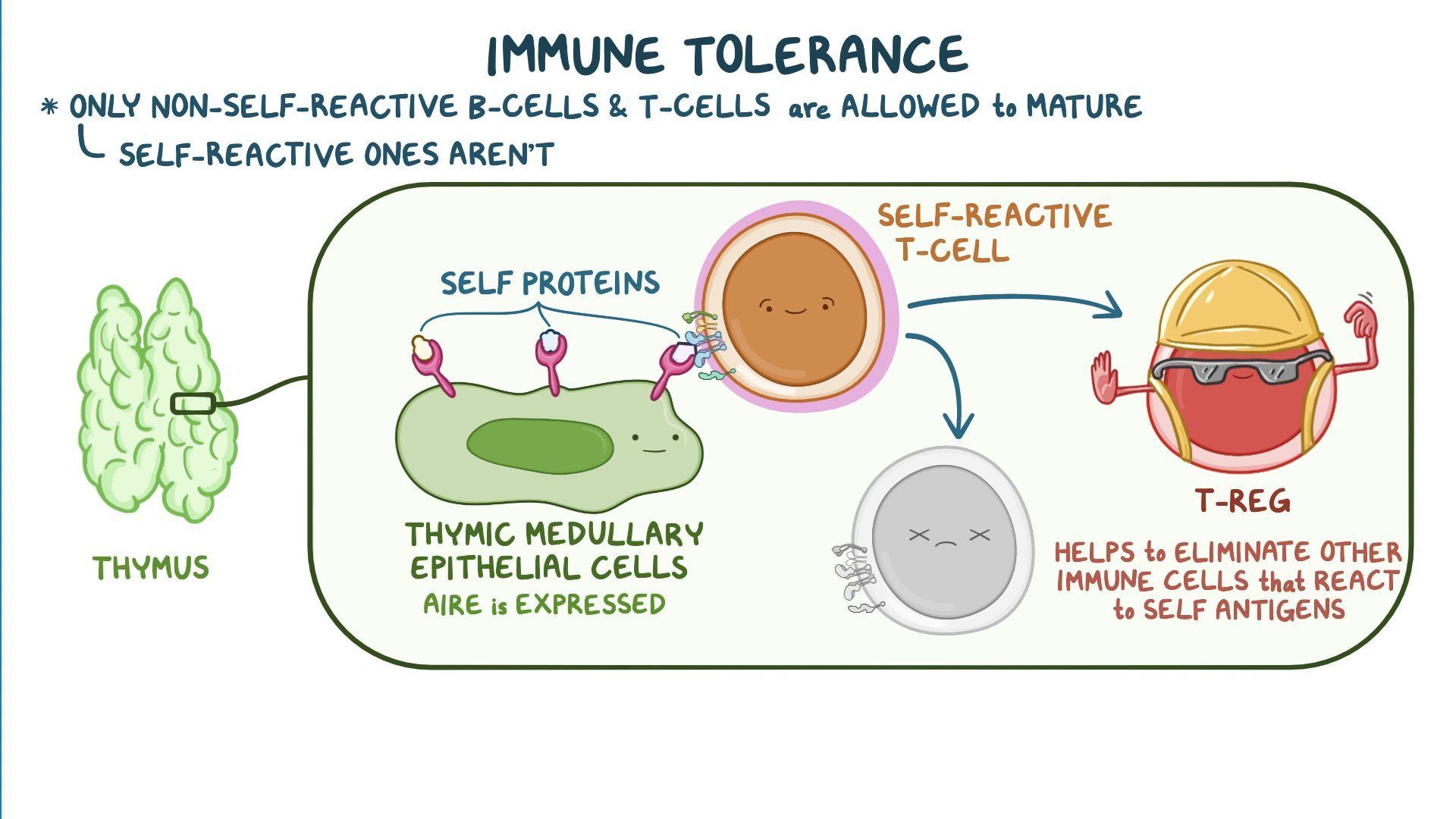 Video: Autoimmune polyglandular syndrome type I (NORD): Year of the ...