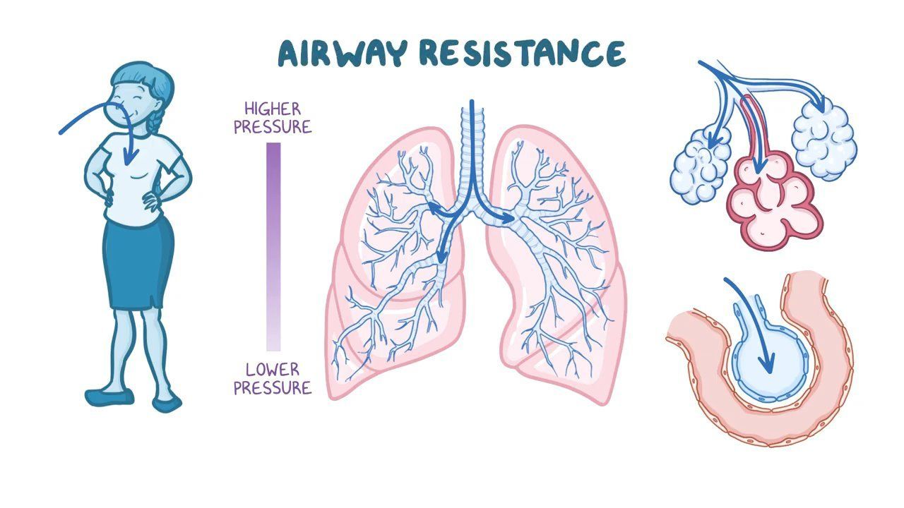 Airflow, pressure, and resistance Osmosis