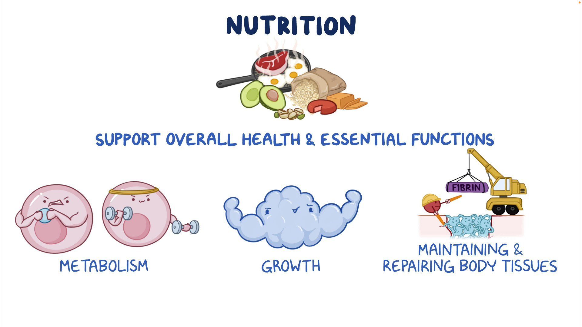 Video: Malnutrition: Nursing | Osmosis