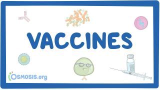 Video poster for Vaccines