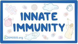 Video poster for Innate immune system