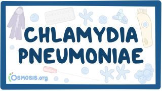 Video poster for Chlamydia pneumoniae