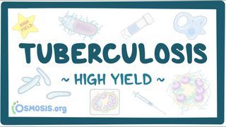 Video poster for High Yield: Tuberculosis