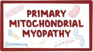 Video poster for Mitochondrial myopathy