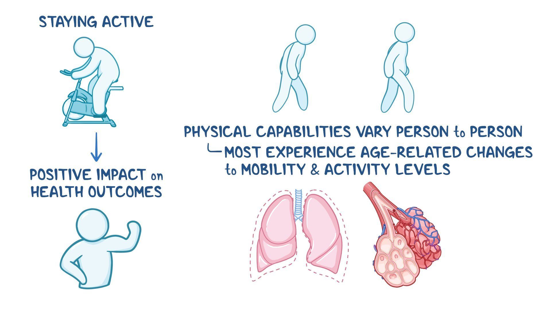 Video: Physical Activity and the Older Adult | Osmosis