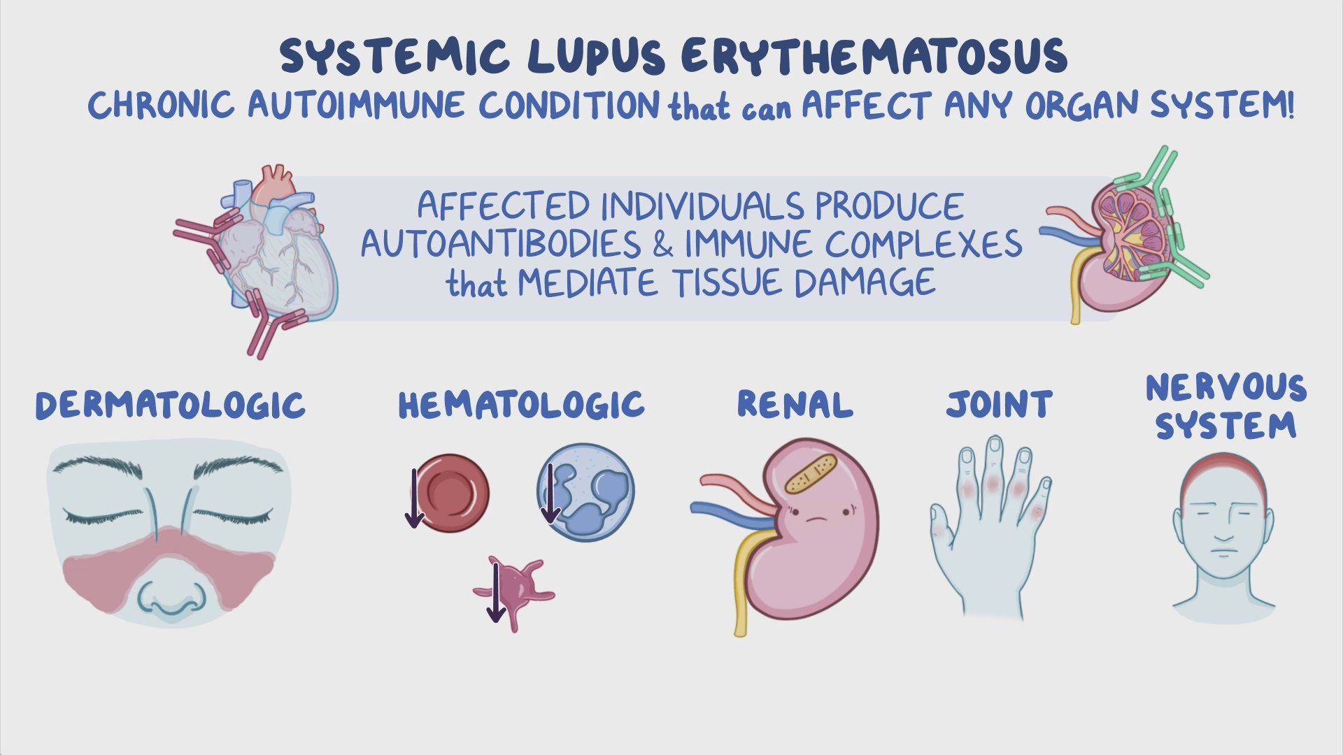 Video Systemic Lupus Erythematosus Clinical Sciences Osmosis Video Systemic Lupus Erythematosus Clinical Sciences Osmosis