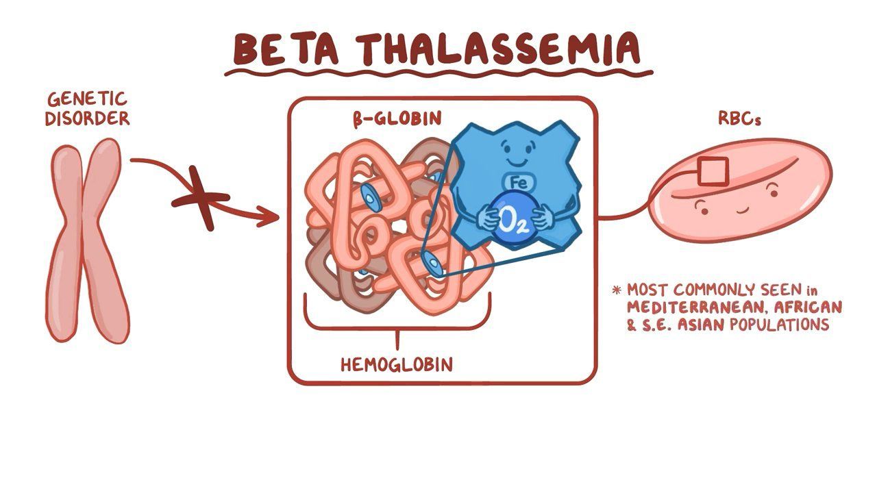 Beta thalassemia Osmosis
