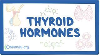 Video poster for Thyroid hormone