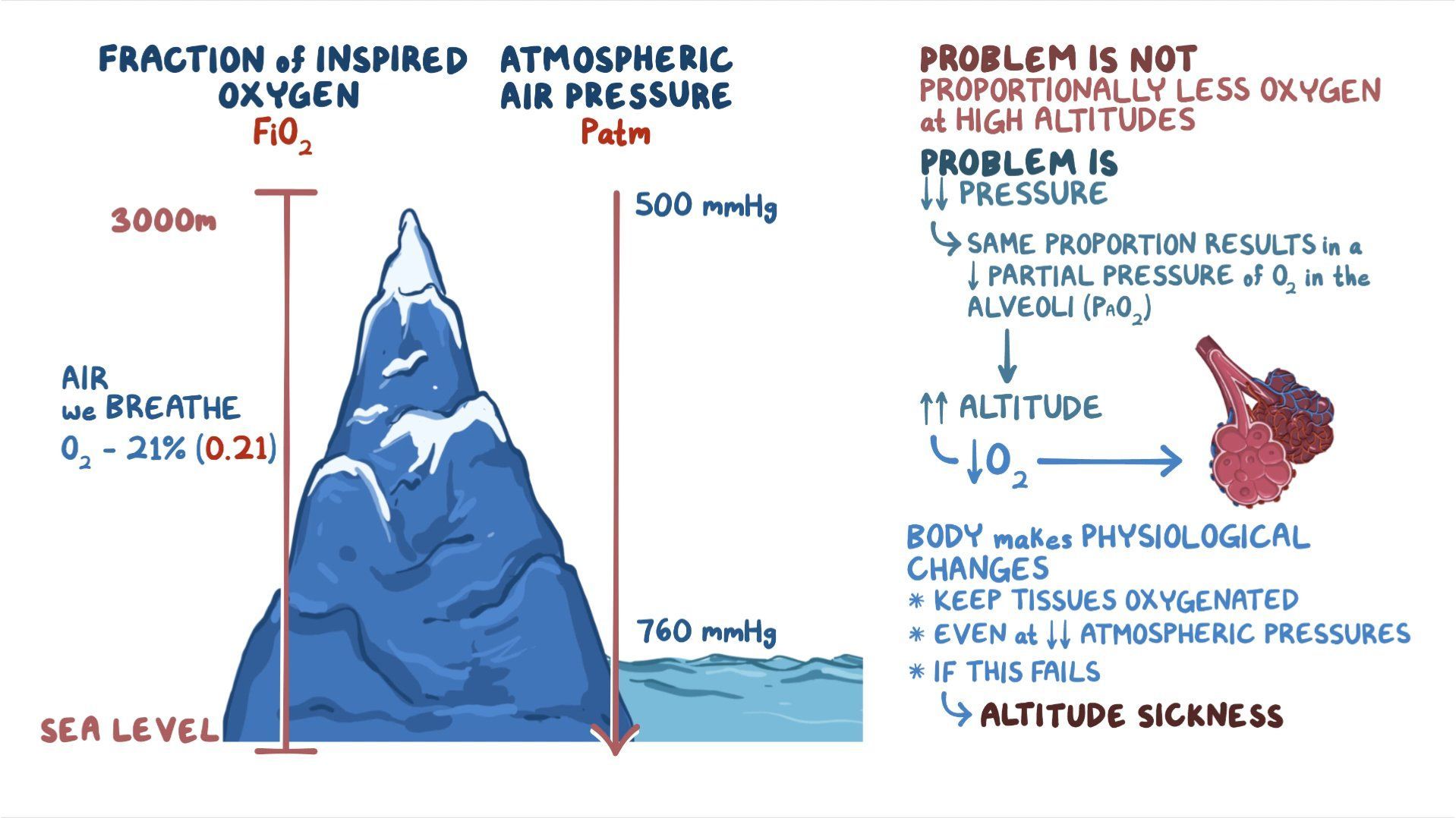 video-pulmonary-changes-at-high-altitude-and-altitude-sickness-osmosis