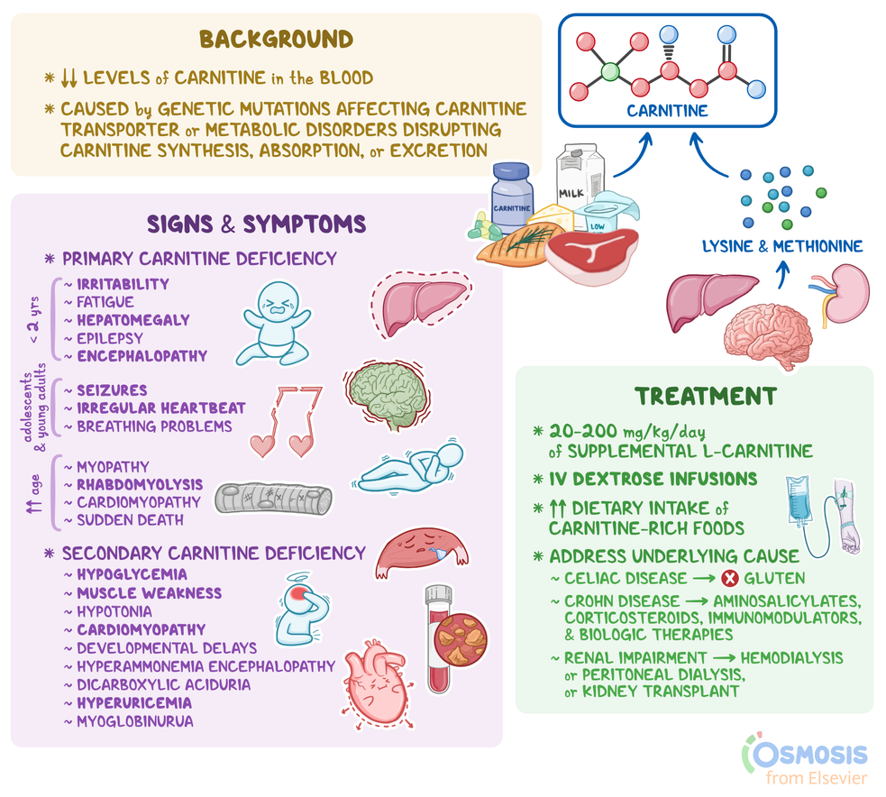 l-carnitine fishy body odor side effect Trimethylaminuria: Definition, symptoms, and more