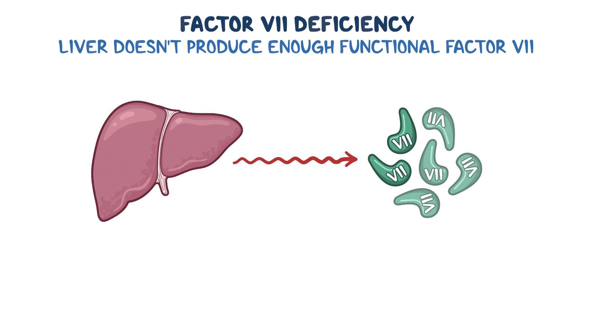 Factor 7 Deficiency Inheritance Video: Factor VII deficiency: Year of the Zebra 2026 | Osmosis