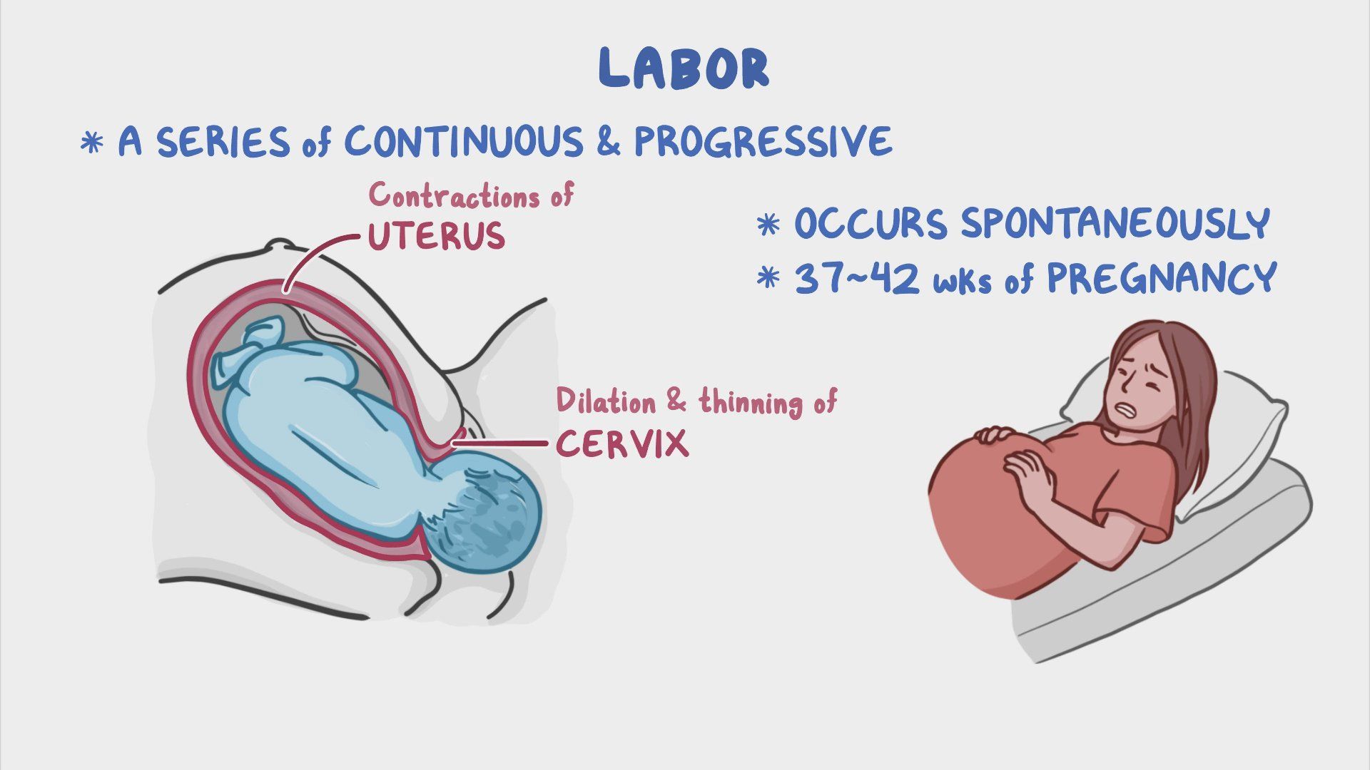video-stages-of-labor-nursing-osmosis