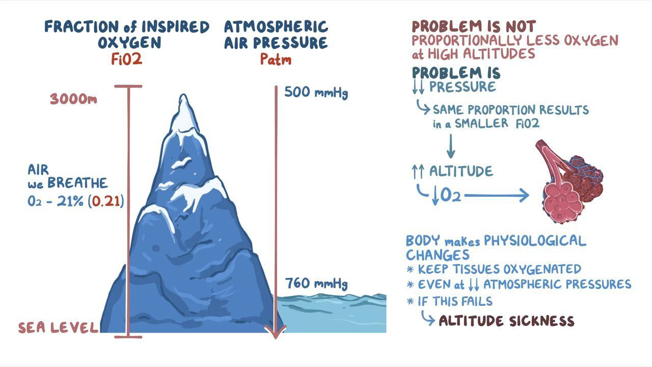 Physiological changes at high altitude & altitude sickness Osmosis