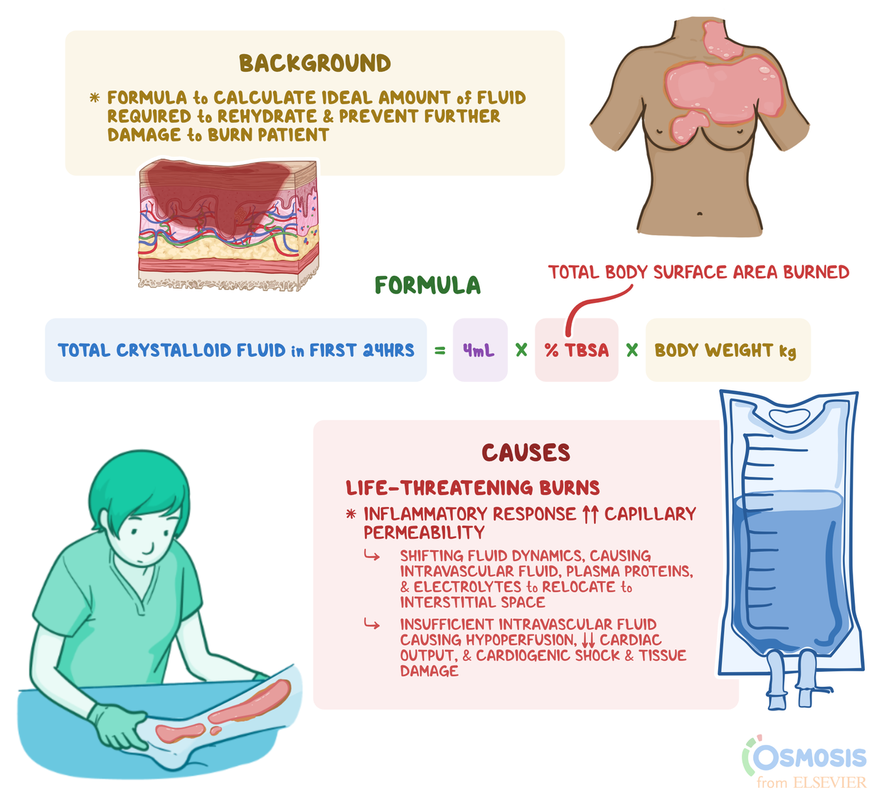 Introduction Of Burn What Is Burn Definition Of Burn 48 OFF
