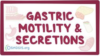 Video poster for Gastric motility