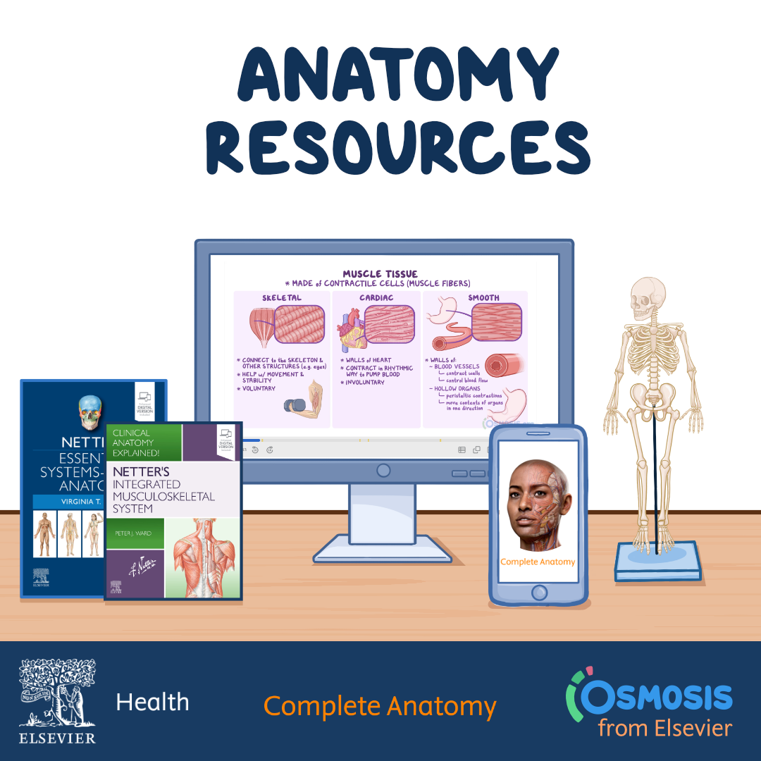 Osmosis - Best Way To Study Anatomy