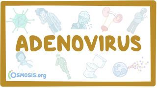Video poster for Adenovirus