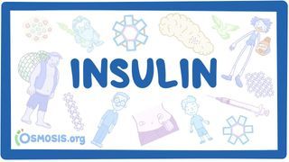 Video poster for Insulin (Functions)
