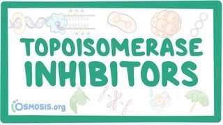 Video poster for Topoisomerase inhibitors