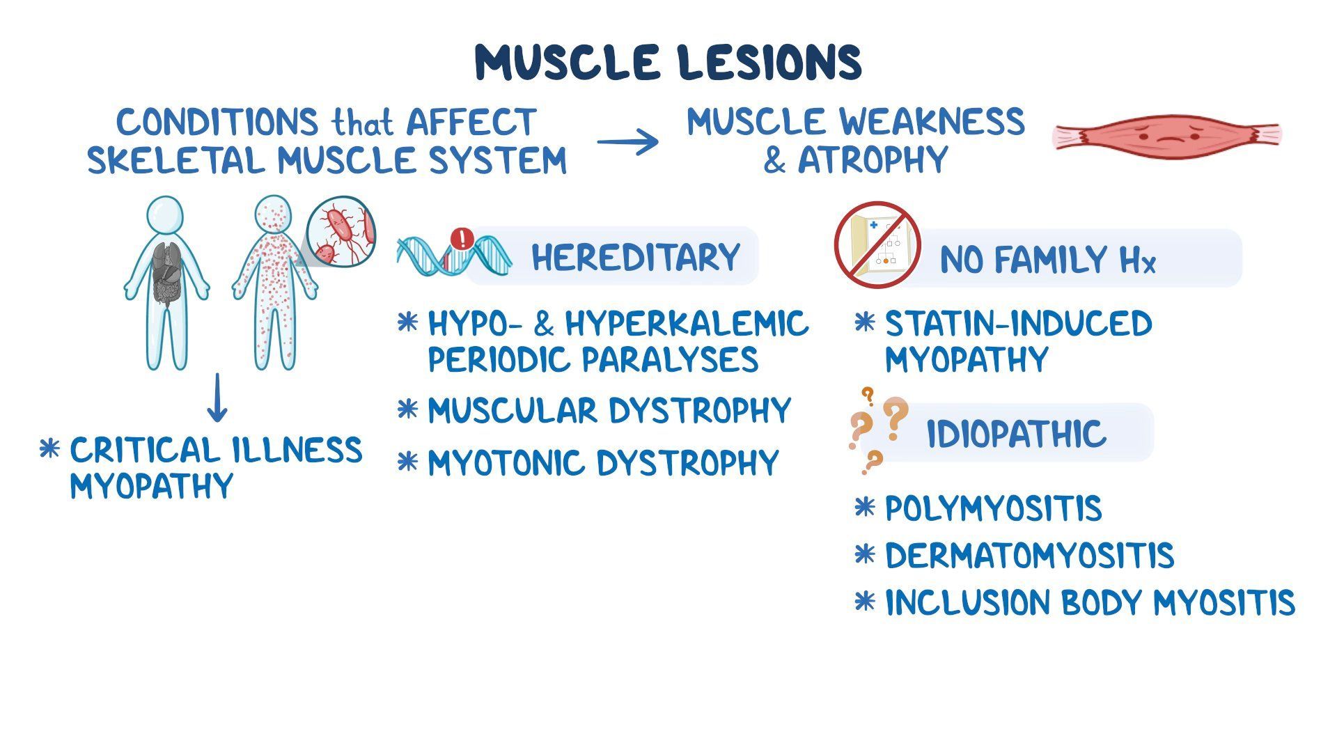 Approach to differentiating lesions (muscle): Video & Meaning