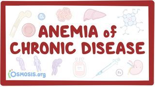 Video poster for Anemia of chronic disease