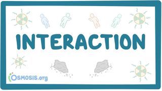 Video poster for Interaction