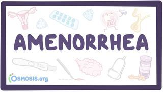 Video poster for Amenorrhea