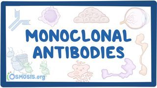 Video poster for Monoclonal antibodies