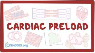 Video poster for Cardiac preload