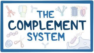 Video poster for Complement system