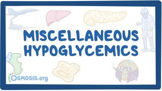 Video poster for Miscellaneous hypoglycemics