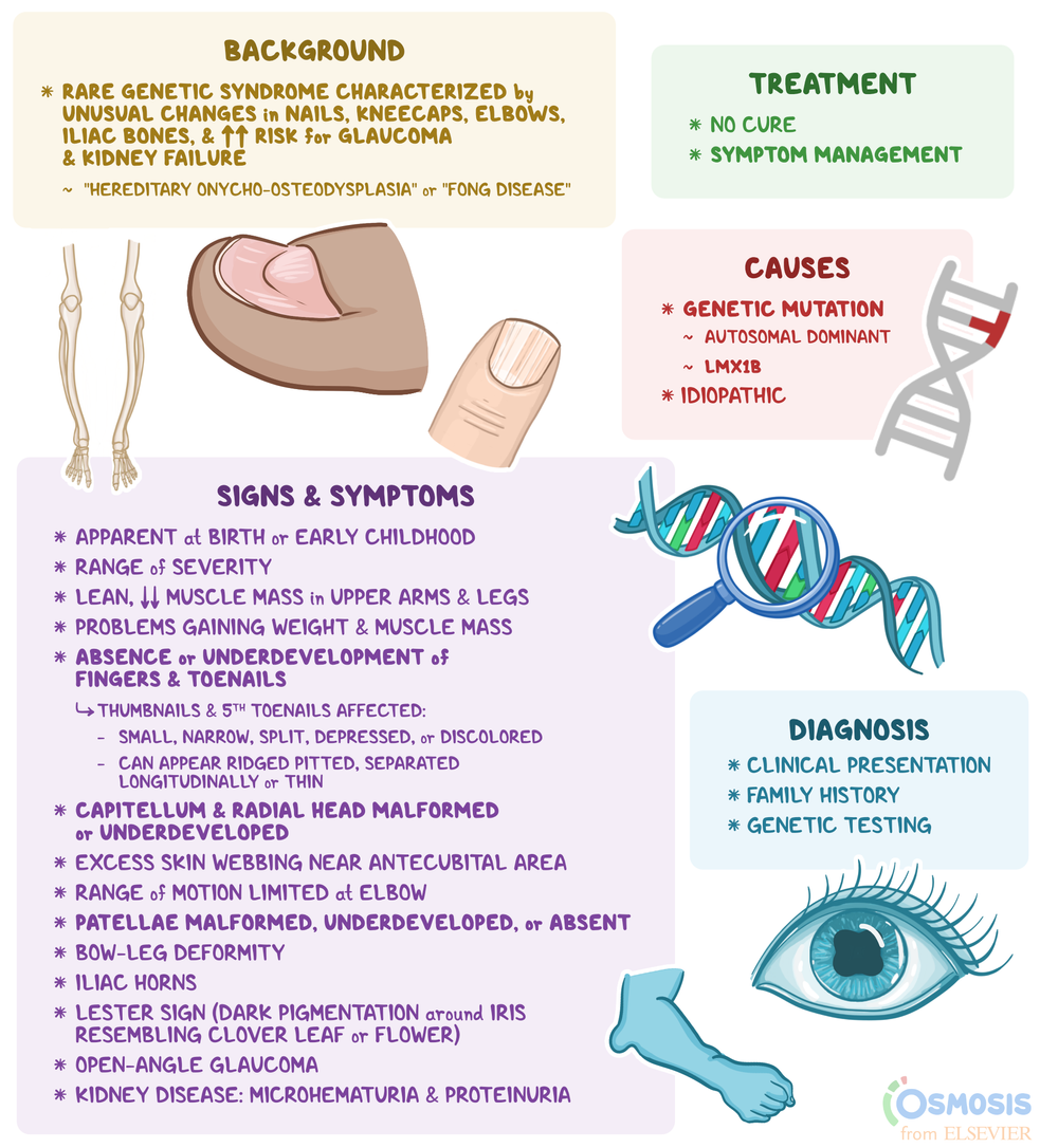 NailPatella Syndrome What Is It, Causes, Signs, Symptoms, and More