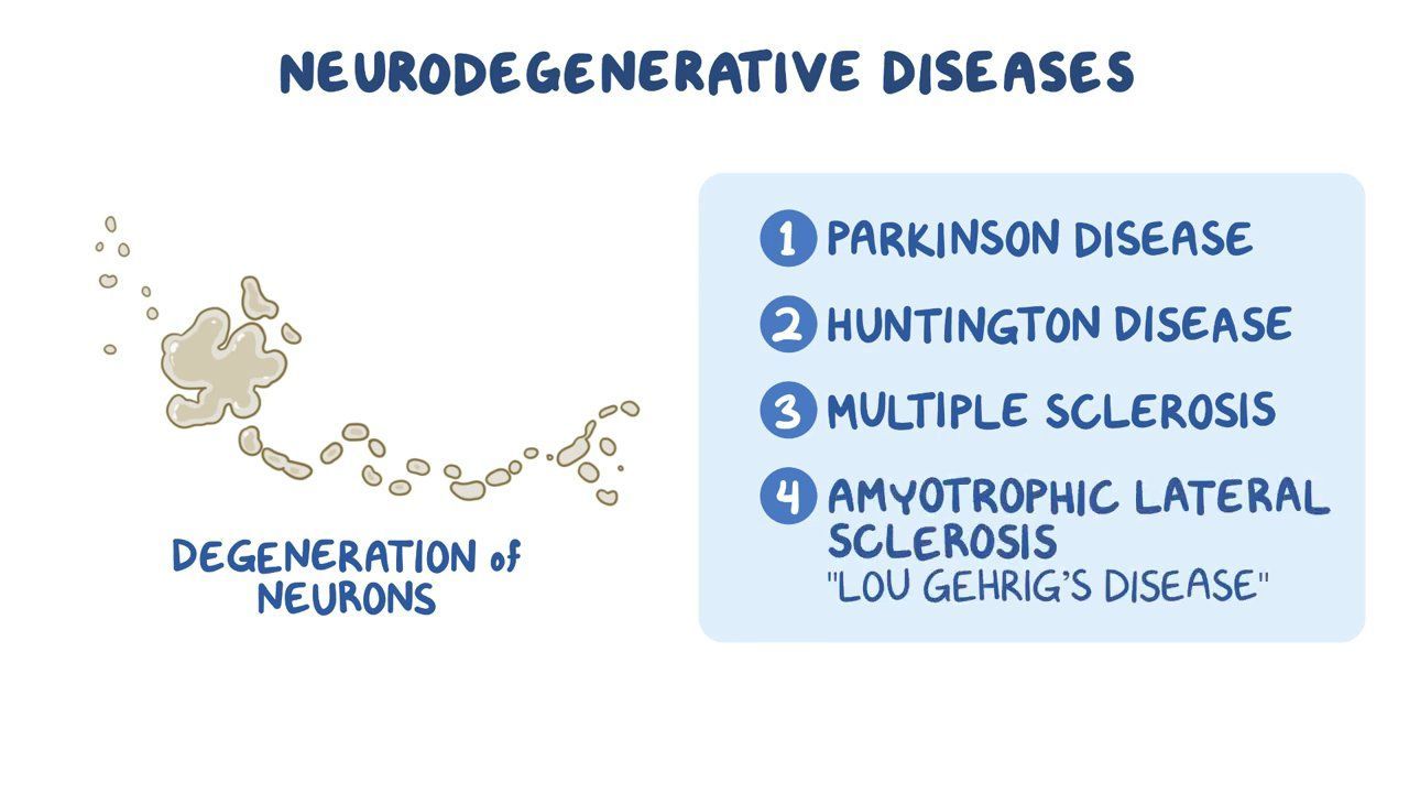 Video: Nervous system: Neurodegenerative diseases | Osmosis