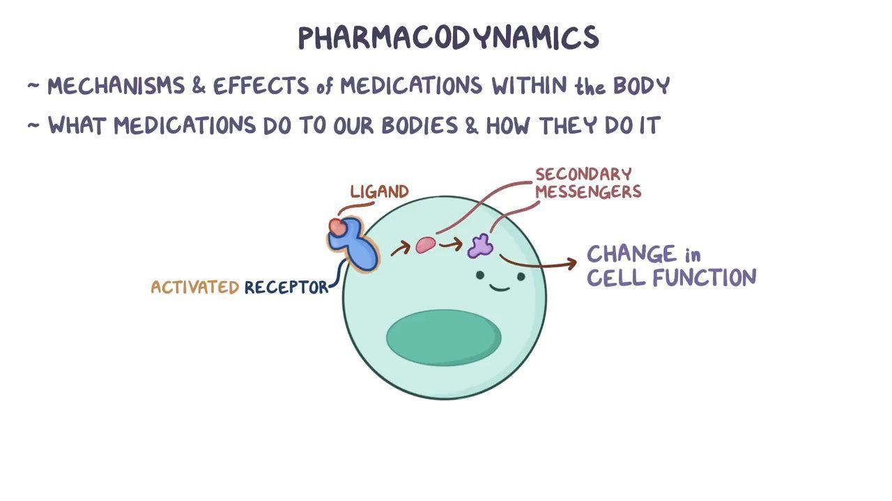 ghk-cu mechanism of action tolerance desensitization Video: Pharmacodynamics: Desensitization and tolerance