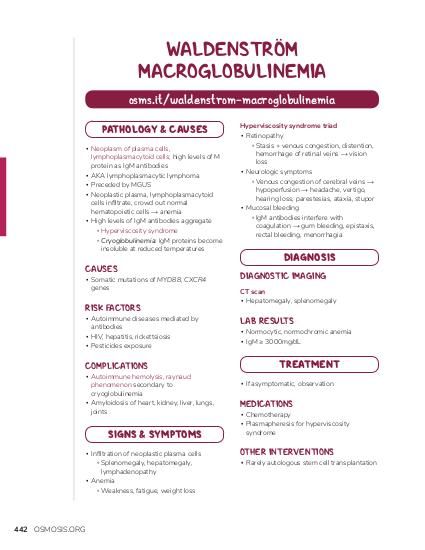 WALDENSTRÖM MACROGLOBULINEMIA osms.it/waldenstrom-macroglobulinemia PATHOLOGY & CAUSES ▪ Neoplasm of plasma cells, lymphoplasmacytoid cells; high levels of M protein as IgM antibodies ▪ AKA lymphoplasmacytic lymphoma ▪ Preceded by MGUS ▪ Neoplastic plasma, lymphoplasmacytoid cells infiltrate, crowd out normal hematopoietic cells → anemia ▪ High levels of IgM antibodies aggregate ▫ Hyperviscosity syndrome ▫ Cryoglobulinemia: IgM proteins become insoluble at reduced temperatures CAUSES ▪ Somatic mutations of MYD88, CXCR4 genes RISK FACTORS ▪ Autoimmune diseases mediated by antibodies ▪ HIV, hepatitis, rickettsiosis ▪ Pesticides exposure COMPLICATIONS ▪ Autoimmune hemolysis, raynaud phenomenon secondary to cryoglobulinemia ▪ Amyloidosis of heart, kidney, liver, lungs, joints SIGNS & SYMPTOMS ▪ Infiltration of neoplastic plasma cells ▫ Splenomegaly, hepatomegaly, lymphadenopathy ▪ Anemia ▫ Weakness, fatigue, weight loss 442 OSMOSIS.ORG Hyperviscosity syndrome triad ▪ Retinopathy ▫ Stasis + venous congestion, distention, hemorrhage of retinal veins → vision loss ▪ Neurologic symptoms ▫ Venous congestion of cerebral veins → hypoperfusion → headache, vertigo, hearing loss, parestesias, ataxia, stupor ▪ Mucosal bleeding ▫ IgM antibodies interfere with coagulation → gum bleeding, epistaxis, rectal bleeding, menorrhagia DIAGNOSIS DIAGNOSTIC IMAGING CT scan ▪ Hepatomegaly, splenomegaly LAB RESULTS ▪ Normocytic, normochromic anemia ▪ IgM ≥ 3000mg/dL TREATMENT ▪ If asymptomatic, observation MEDICATIONS ▪ Chemotherapy ▪ Plasmapheresis for hyperviscosity syndrome OTHER INTERVENTIONS ▪ Rarely autologous stem cell transplantation