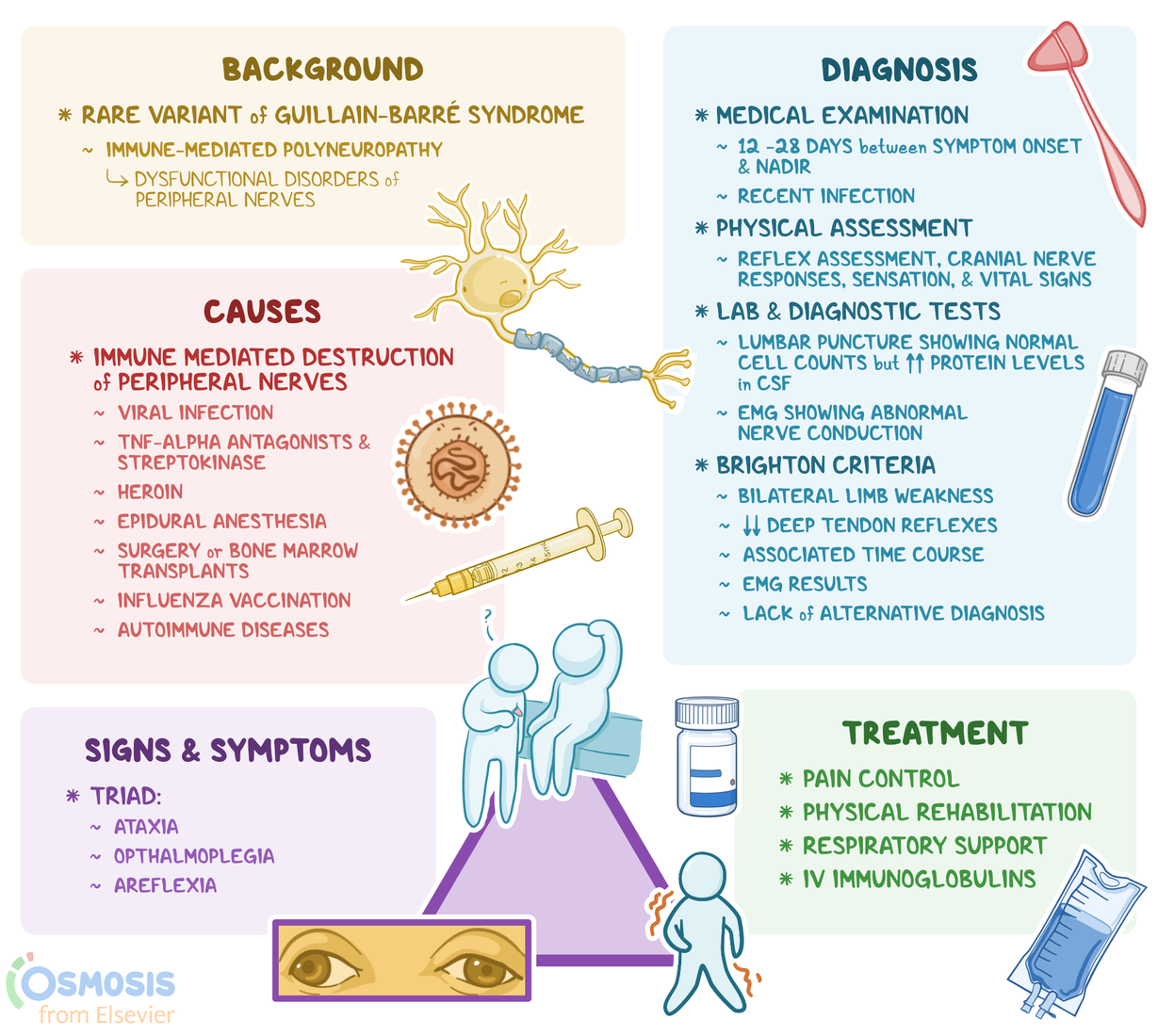 Miller Fisher Syndrome What Is It Causes Signs And More Miller Fisher Syndrome What Is It Causes Signs And More