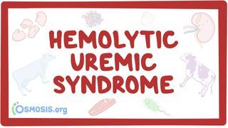 Video poster for Hemolytic-uremic syndrome