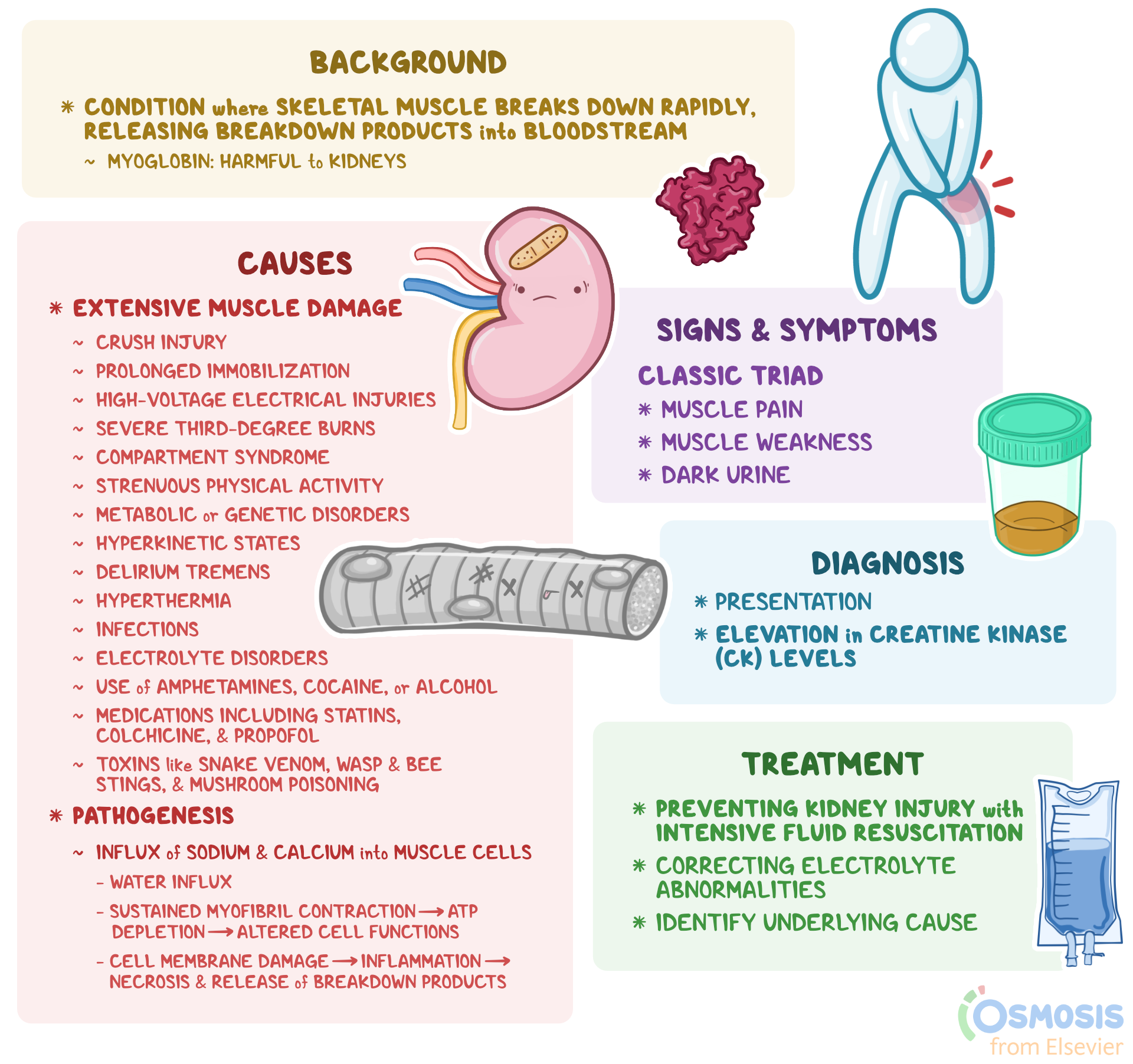 Rhabdomyolysis: What Is It, Causes, Treatment, and More