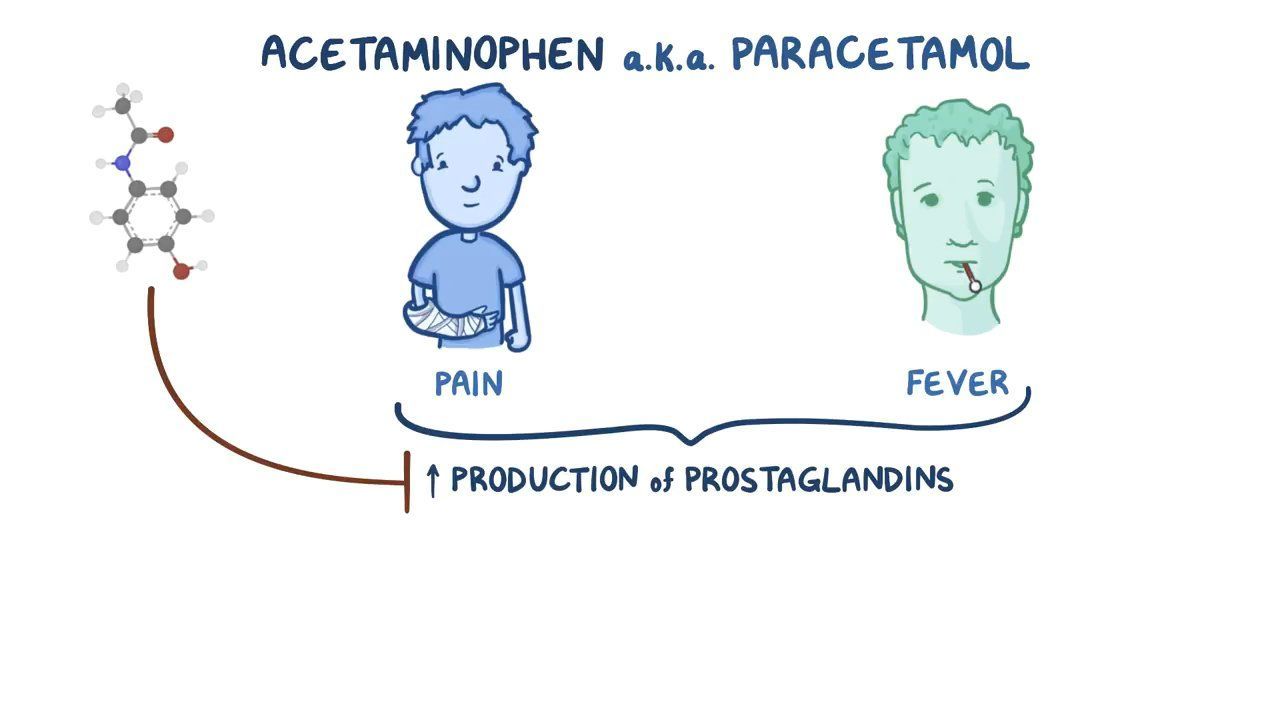 Video Acetaminophen Paracetamol Osmosis