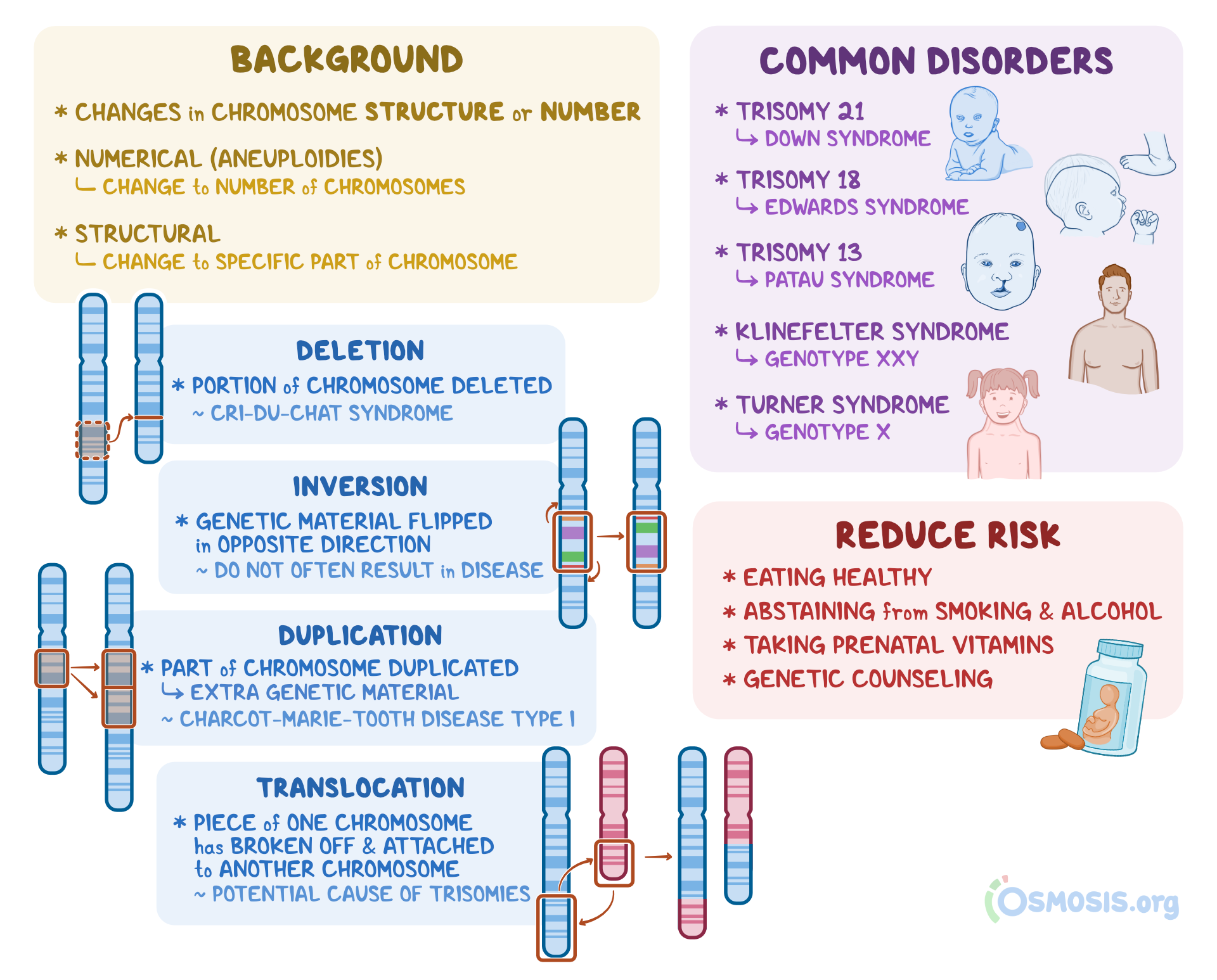 Chromosomal Aberrations What Are They Causes And More Osmosis