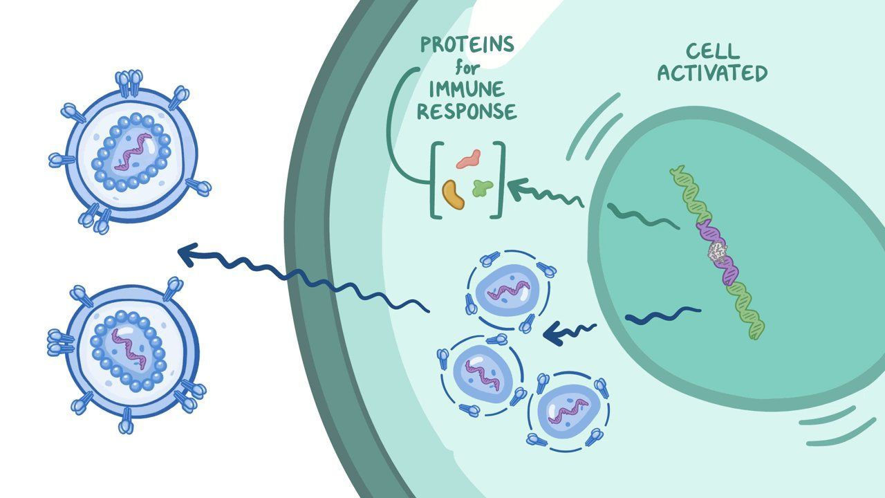 Preexposure Prophylaxis (PrEP) What Is It, How Does It Work, and More