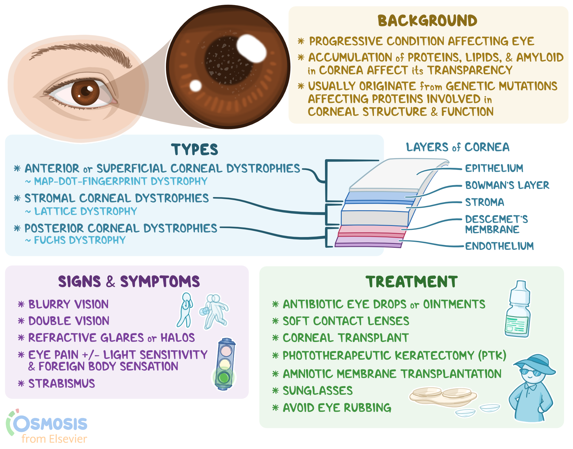 How to Make Videos Like Osmosis Copy Ai: Ultimate Guide to Success