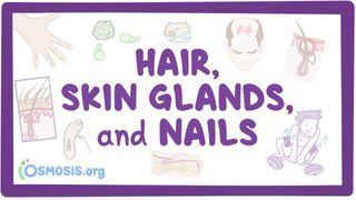 Video poster for Hair, skin, and nails