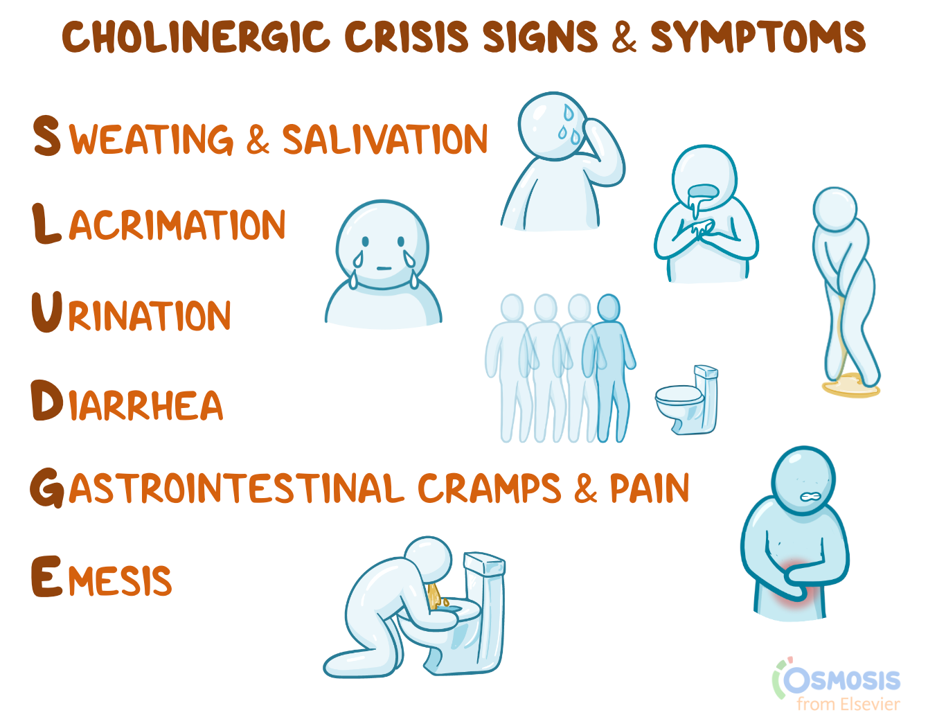 sludge-cholinergic-crisis-signs-and-symptoms-acronym-osmosis