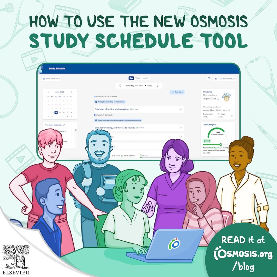 How to Use the New Osmosis Study Schedule Tool