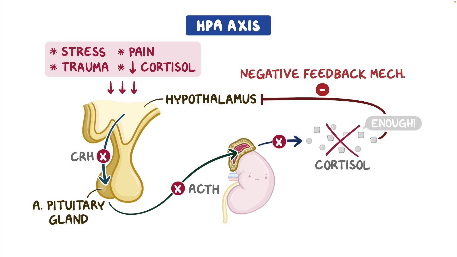 video-corticosteroid-therapy