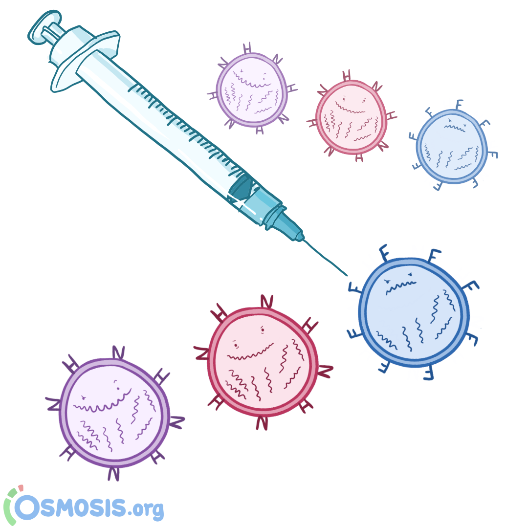 HealthEd The Flu Vaccine Explained