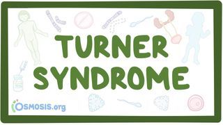 Video poster for Turner syndrome