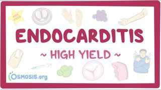 Video poster for High Yield: Endocarditis